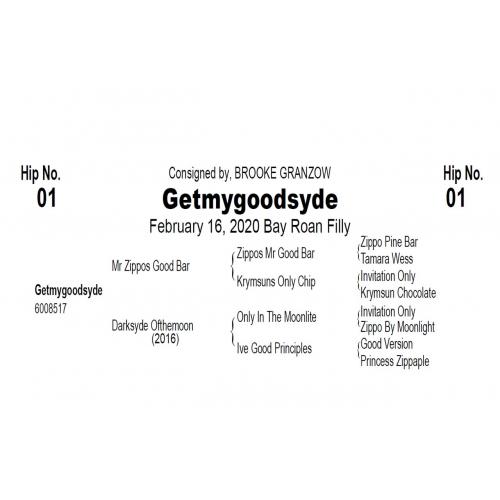 LOT  01 - GETMYGOODSYDE