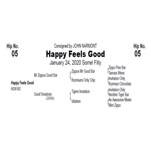 LOT  05 - HAPPY FEELS GOOD