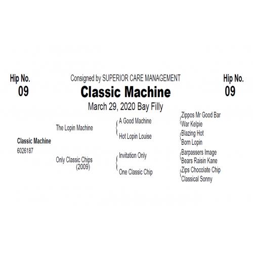 LOT  09 - CLASSIC MACHINE
