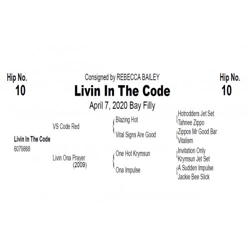 LOT  10 - LIVIN IN THE CODE
