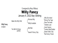 LOT  102 - WILLY FANCY