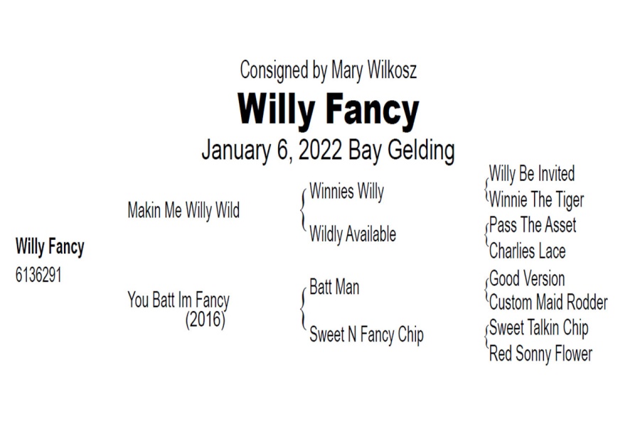 LOT  102 - WILLY FANCY