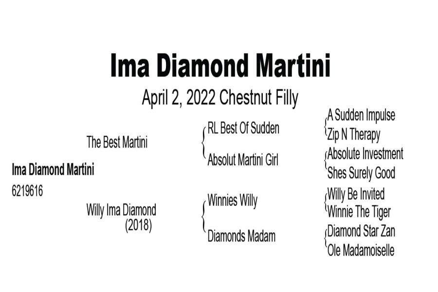 LOT  112 - IMA DIAMOND MARTINI