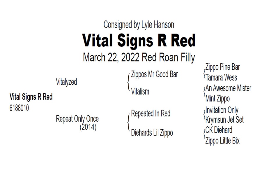 LOT  117 - VITAL SIGNS R RED