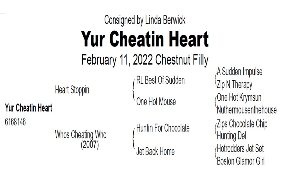 LOT  118 - YUR CHEATIN HEART