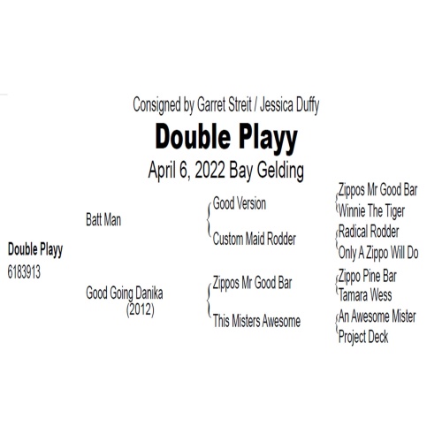 LOT  119 - DOUBLE PLAYY