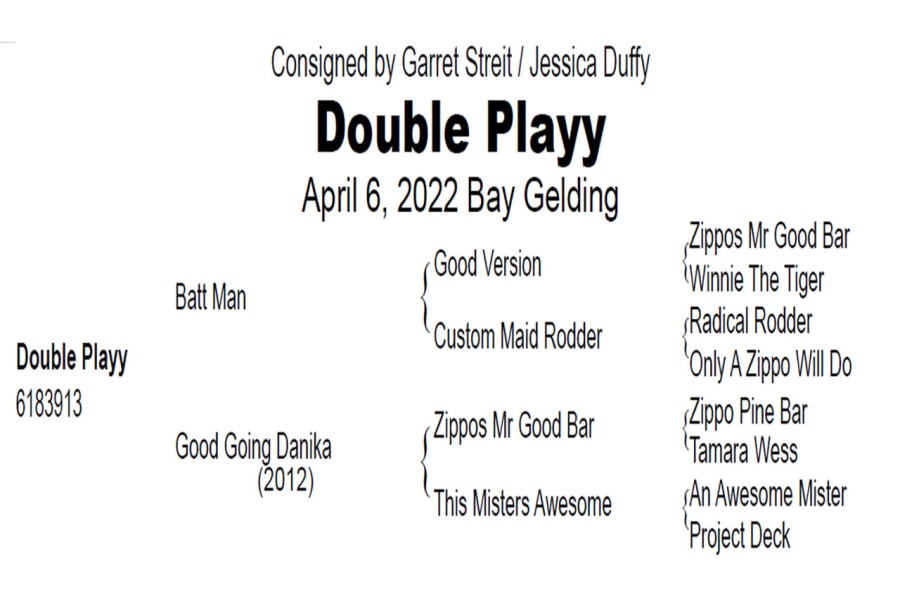 LOT  119 - DOUBLE PLAYY