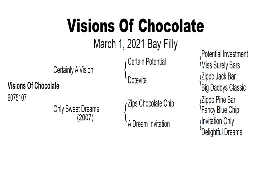 LOT  201 - VISIONS OF CHOCOLATE