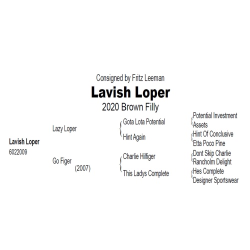LOT 301 -  LAVISH LOPER