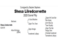 LOT 302 -  SHESA LILREDCORVETTE
