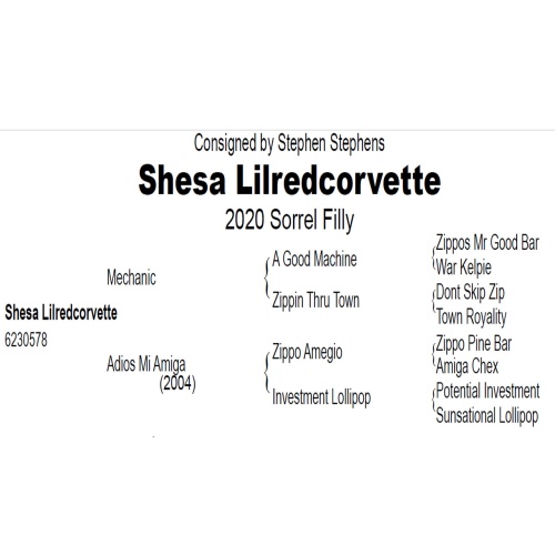 LOT 302 -  SHESA LILREDCORVETTE