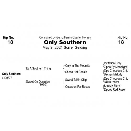 LOT 18 - Only Southern
