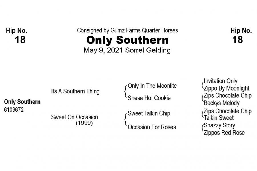 LOT 18 - Only Southern