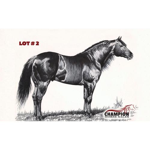 LOT 02 - I AM A LIVE MARE