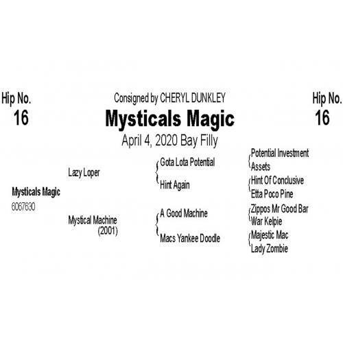 LOT  16 - MYSTICALS MAGIC