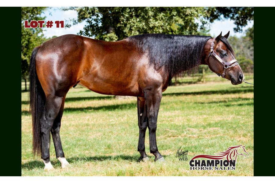 LOT 11 - THE GREATEST SHOWMAN
