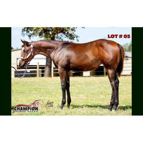 LOT 05 - SPECIAL KIND OF BLUE