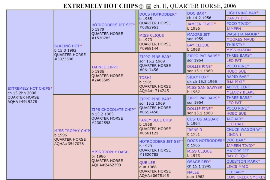 Extremely Hot Chips