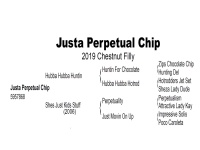 LOT 400 -  JUSTA PERPETUAL CHIP