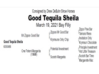 LOT  205 - GOOD TEQUILA SHEILA