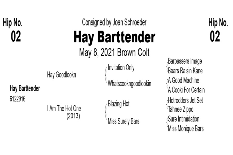 LOT  02 - Hay Barttender