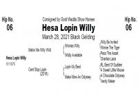 LOT  06 - Hesa Lopin Willy