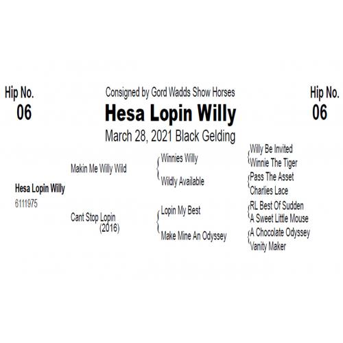 LOT  06 - Hesa Lopin Willy