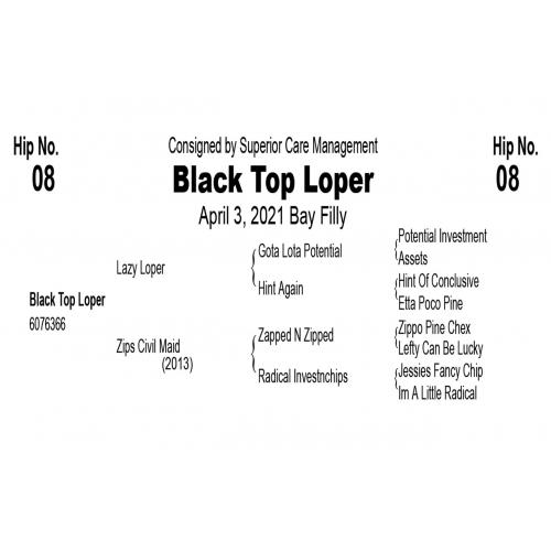 LOT  08 - Black Top Loper