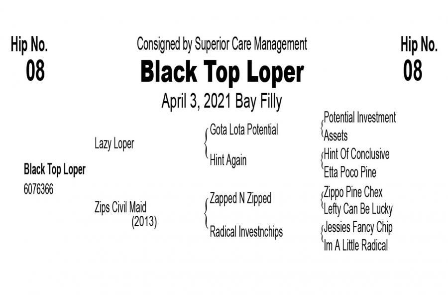 LOT  08 - Black Top Loper