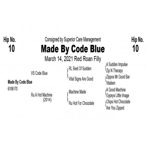 LOT  10 - Made By Code Blue