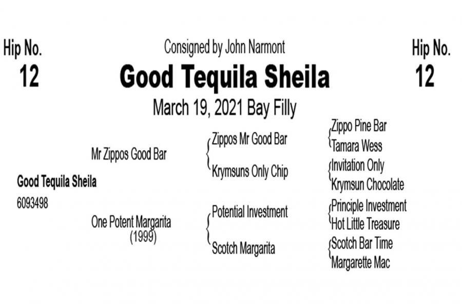 LOT  12 - Good Tequila Sheila