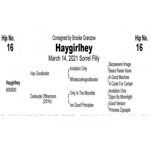 LOT  16 -  Haygirlhey
