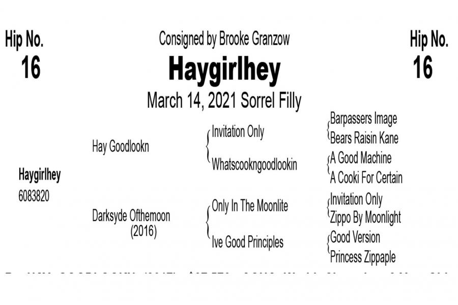 LOT  16 -  Haygirlhey