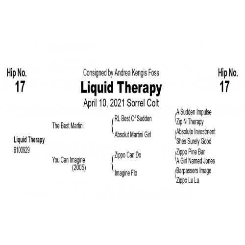 LOT  17 - Liquid Therapy