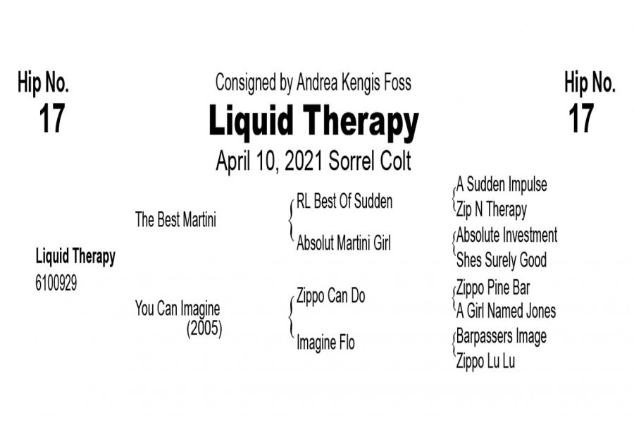 LOT  17 - Liquid Therapy