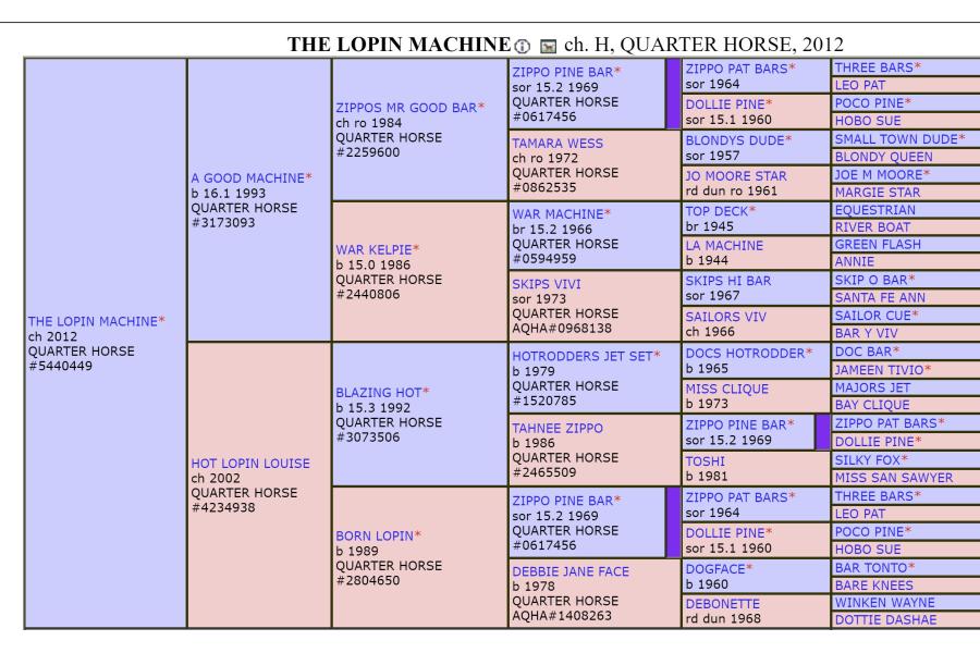 The Lopin Machine